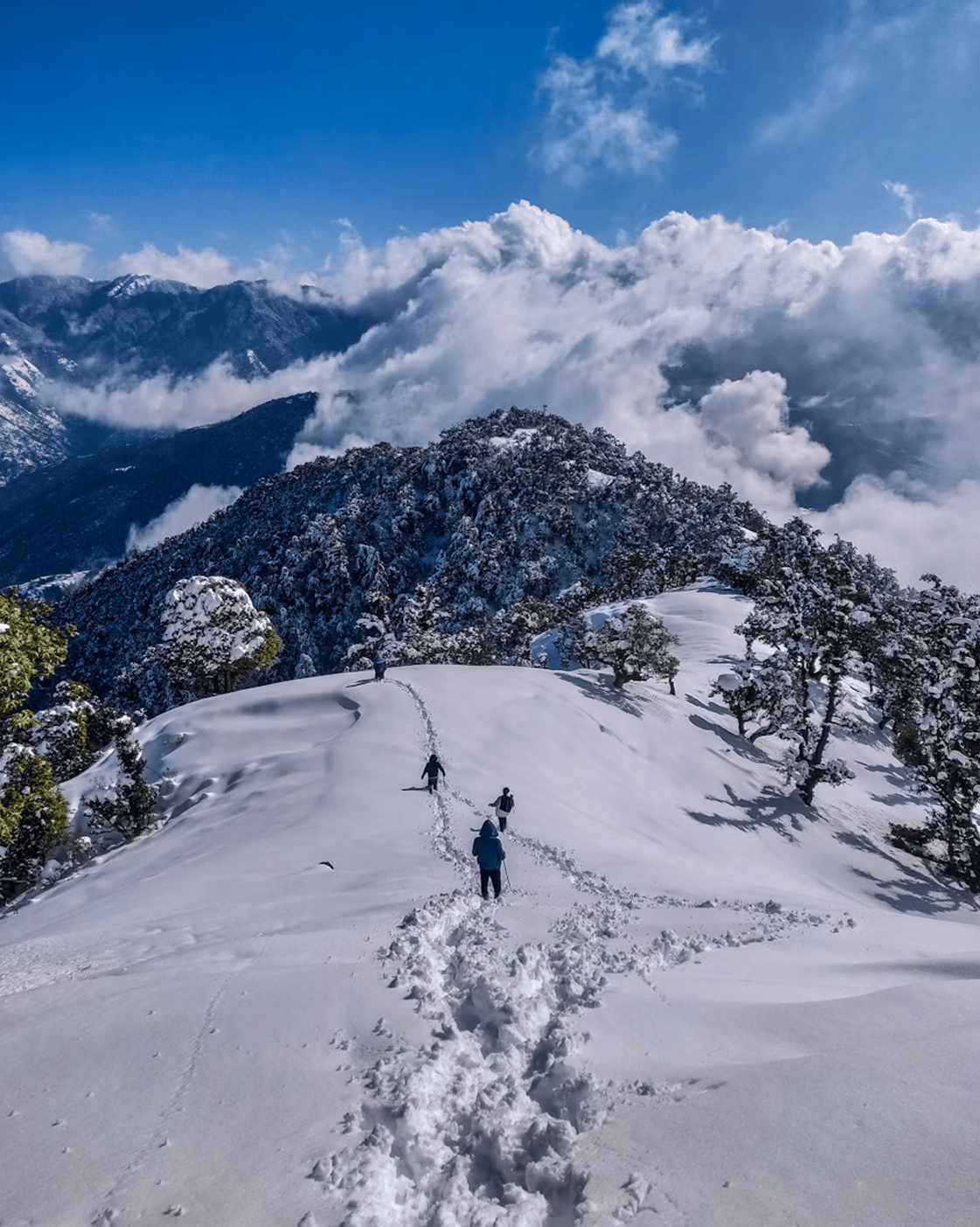 Gulmarg Day Trip