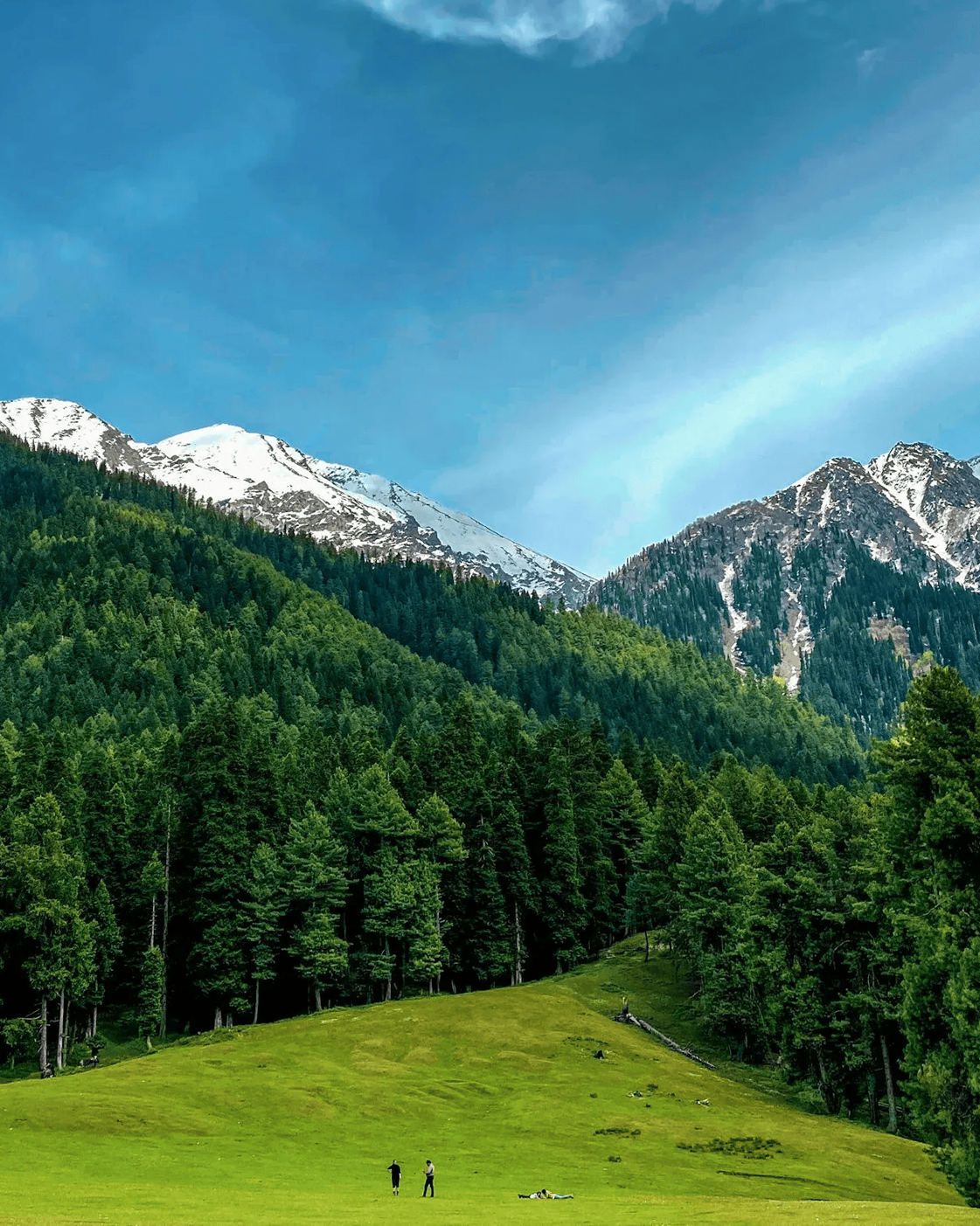 Pahalgam Day Trip